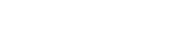 Camelie Semijoias Finas